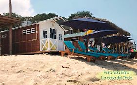 Pura Vida Baru - La Casa del Cholo